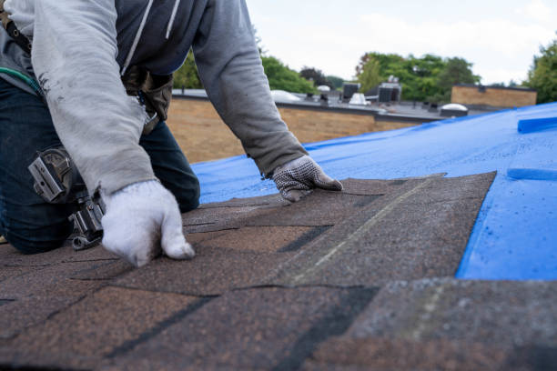 Best Metal Roofing Contractor  in Americus, GA
