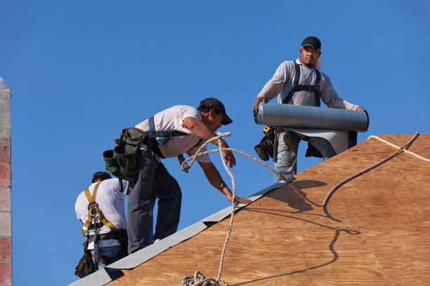 Best Roof Gutter Cleaning  in Americus, GA