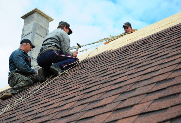 Best Best Roofing Contractors  in Americus, GA